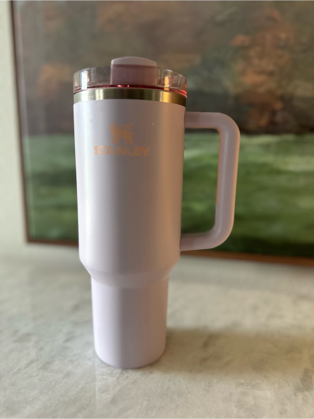 Limited Edition Stanley Quencher H2.O FlowState Stainless Steel 40oz Tumbler